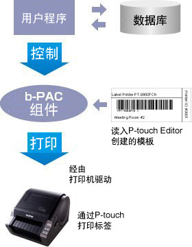 b-PAC处理示意图